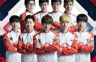 这不仅展示 这不仅展示