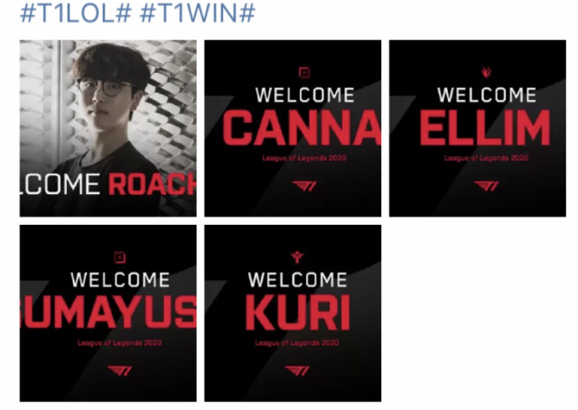 公牛队扎克 公牛队扎克