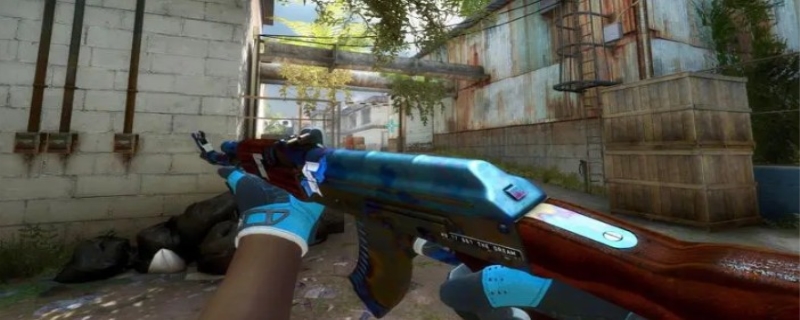 实物载体 实物载体