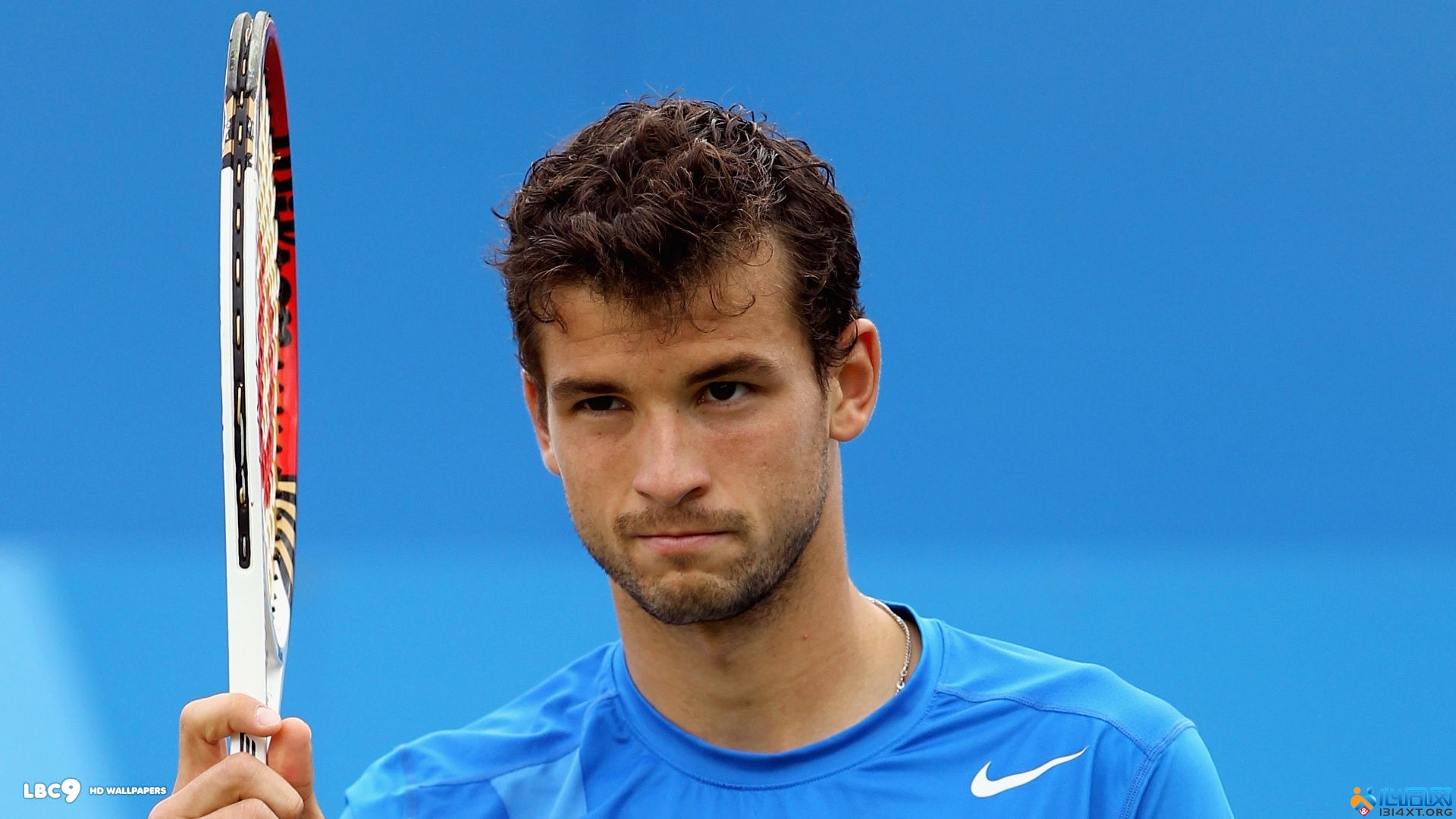 这些都是高 这些都是高